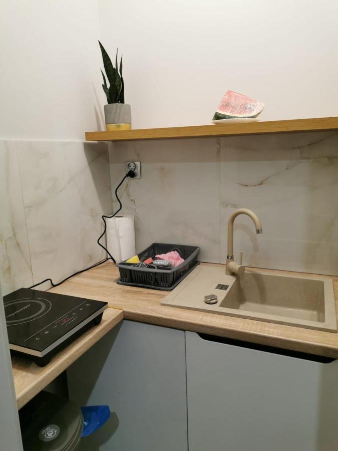 Apartamenty U Maksa Przemyśl Esterno foto